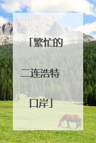 繁忙的二连浩特口岸